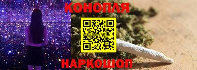 молекула духа Кингисепп