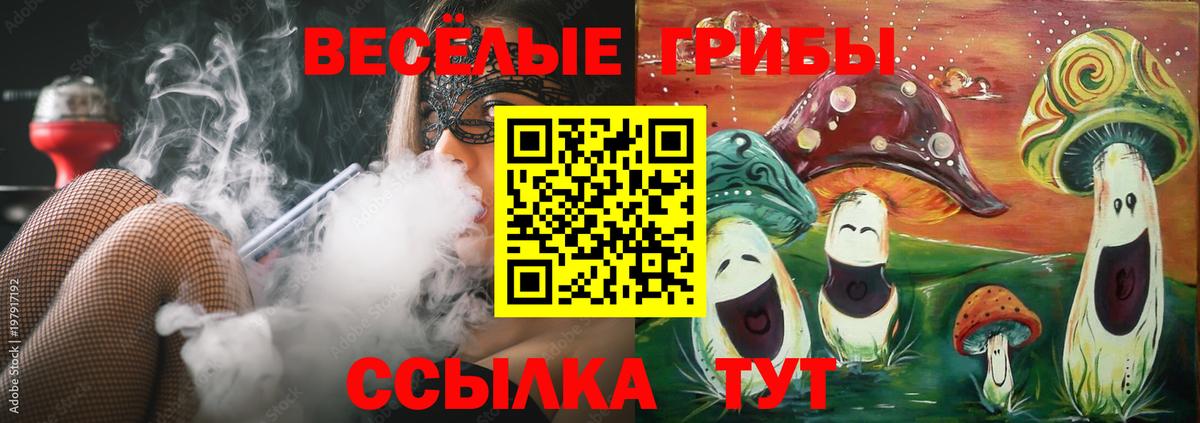 Благовещенск  Псилоцибиновые грибы мухоморы  Вход с VPN 