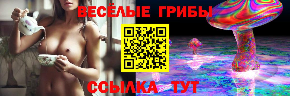 Галлюциногенные грибы Magic Shrooms Благовещенск